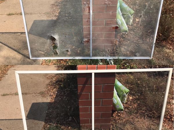 flyscreen before and after flyscreen before and after